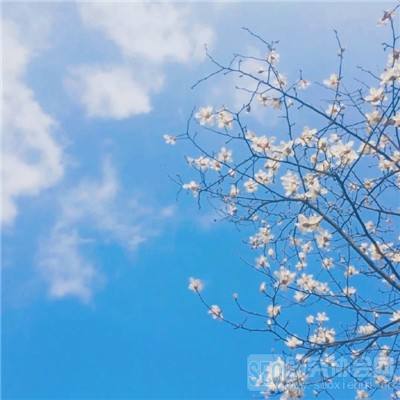 ManBetX客户端登录下载手机版